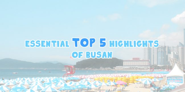 Essential top 5 highlights of Busan Main
