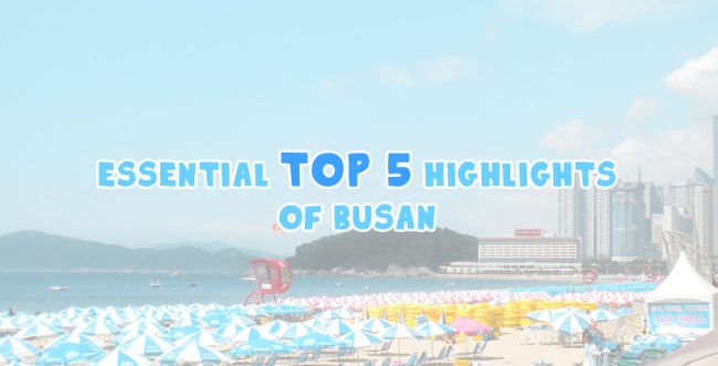 Essential top 5 highlights of Busan Main Essential top 5 highlights of Busan Main