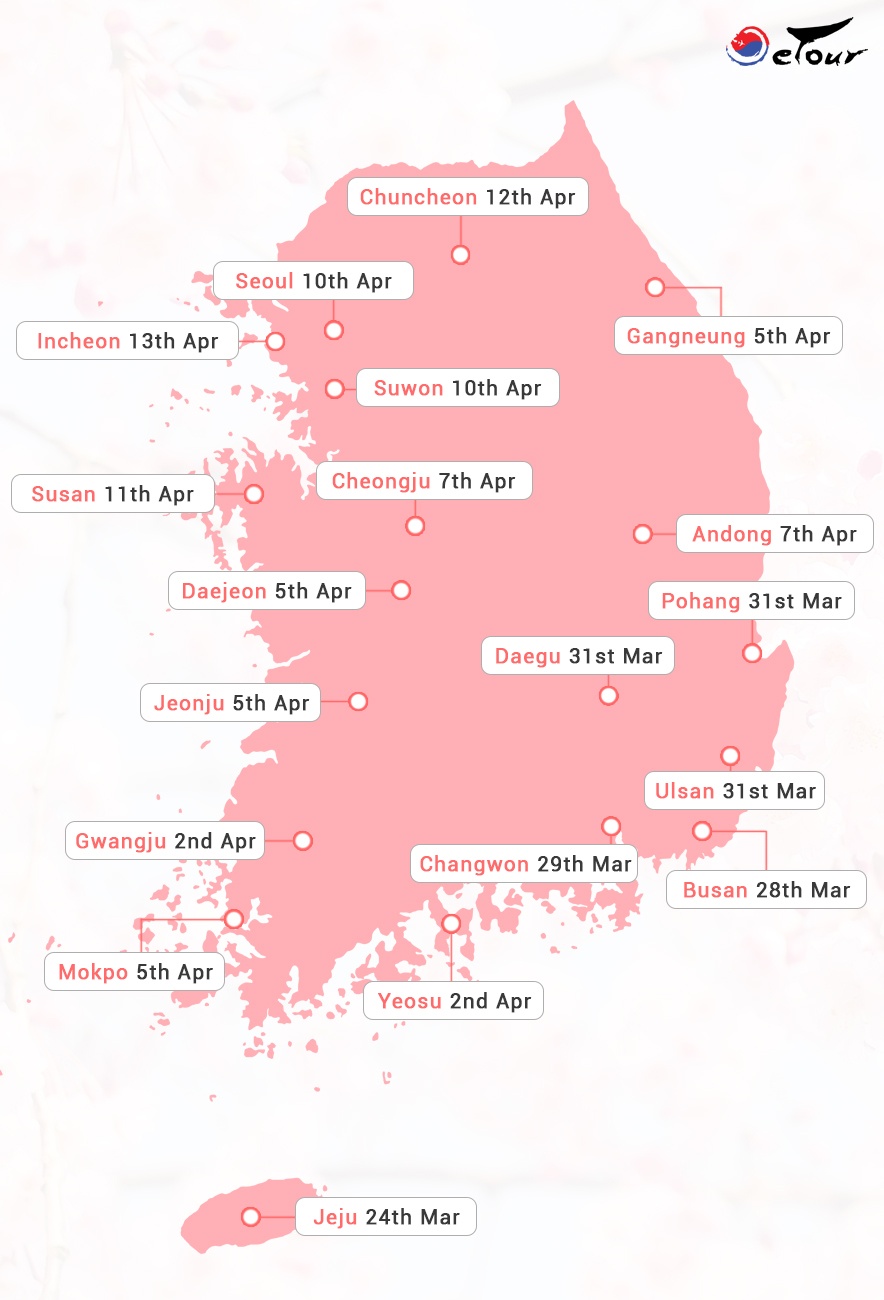 Korea Average Cherry Blossom Flowering Time Map