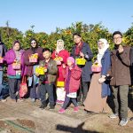 12/22-12/25 Winter Jeju Island Tour from Malaysia