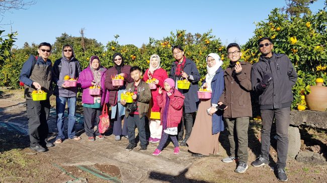 12/22-12/25 Winter Jeju Island Tour from Malaysia 12/22-12/25 Winter Jeju Island Tour from Malaysia