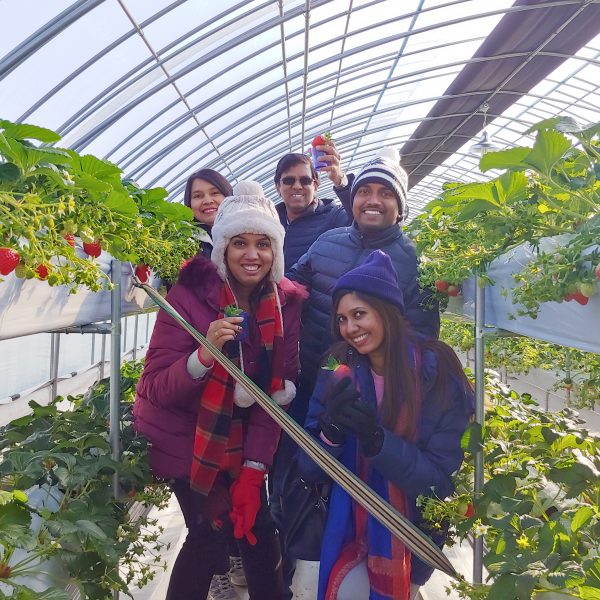 12/26-12/30 Korea Winter Tour from Malaysia