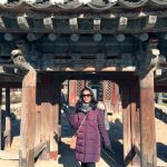 1/5-1/8 Seoul and Nami Island Tour from Nepal