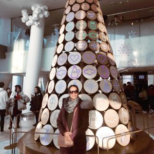 1/5-1/8 Seoul and Nami Island Tour from Nepal