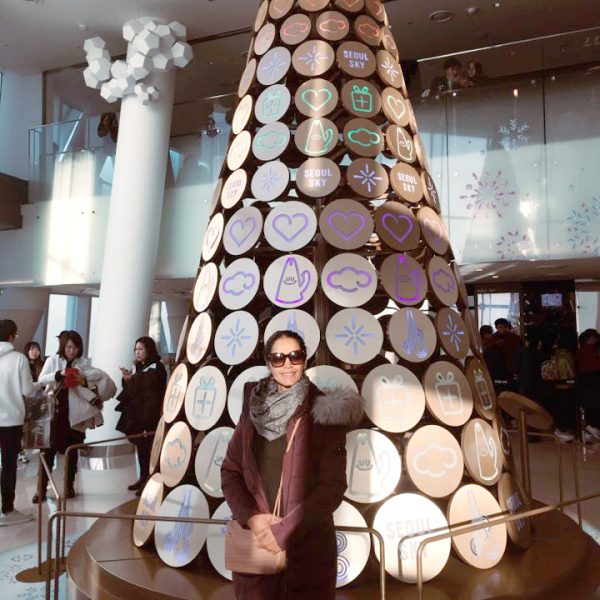 1/5-1/8 Seoul and Nami Island Tour from Nepal