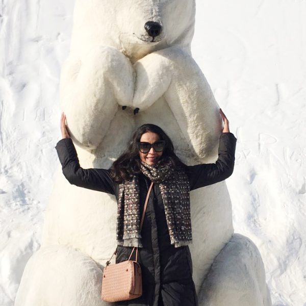 1/5-1/8 Seoul and Nami Island Tour from Nepal