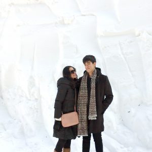 1/5-1/8 Seoul and Nami Island Tour from Nepal