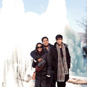 1/5-1/8 Seoul and Nami Island Tour from Nepal