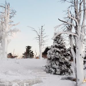 01/19-23 Korea Winter Tour from Singapore