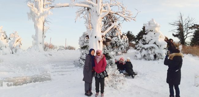 01/19-23 Korea Winter Tour from Singapore