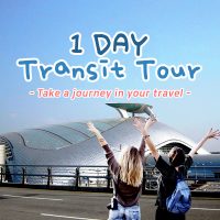 1 DAY Transit Tour