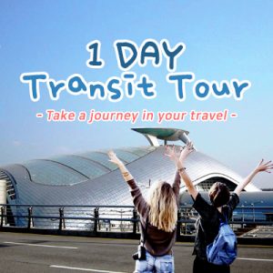 transit tour korea
