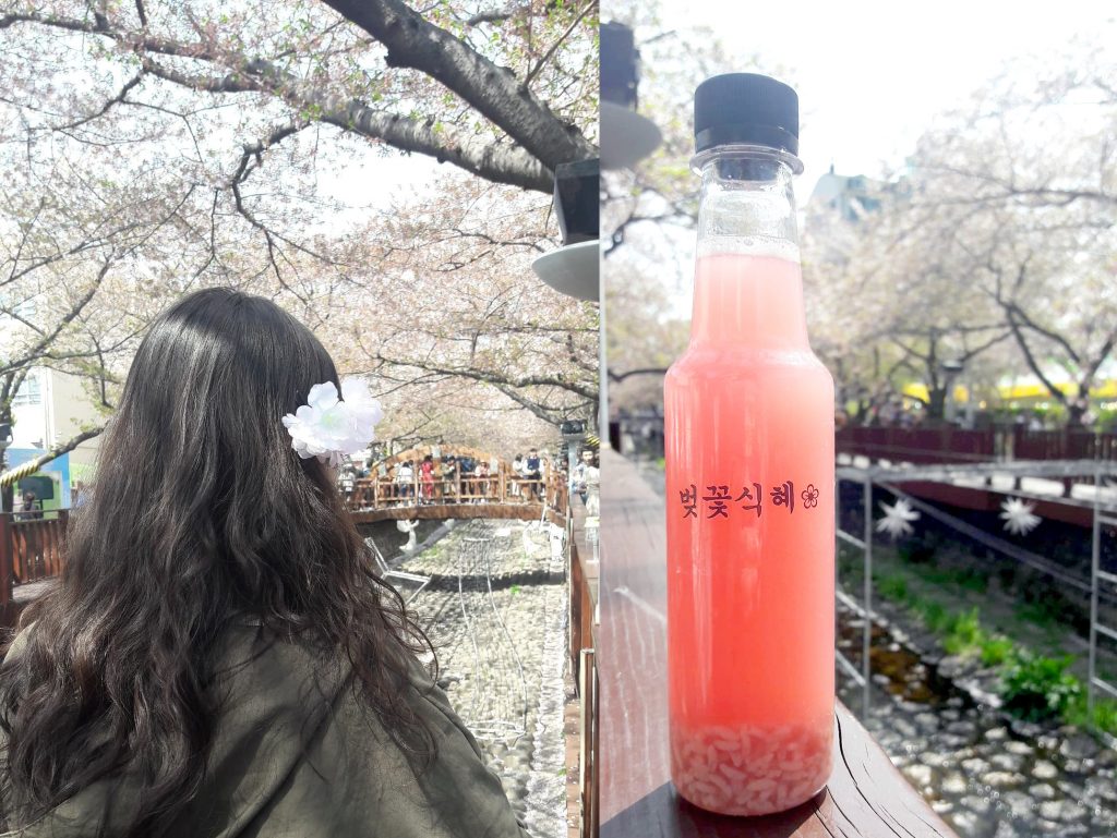 Jinhae Cherry blossom festival A spring fantasy - 4