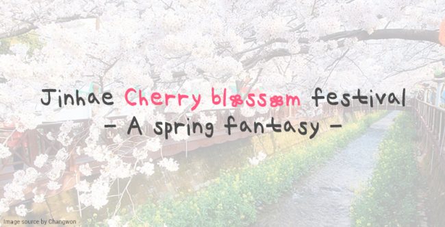 Jinhae Cherry blossom festival A spring fantasy - Main