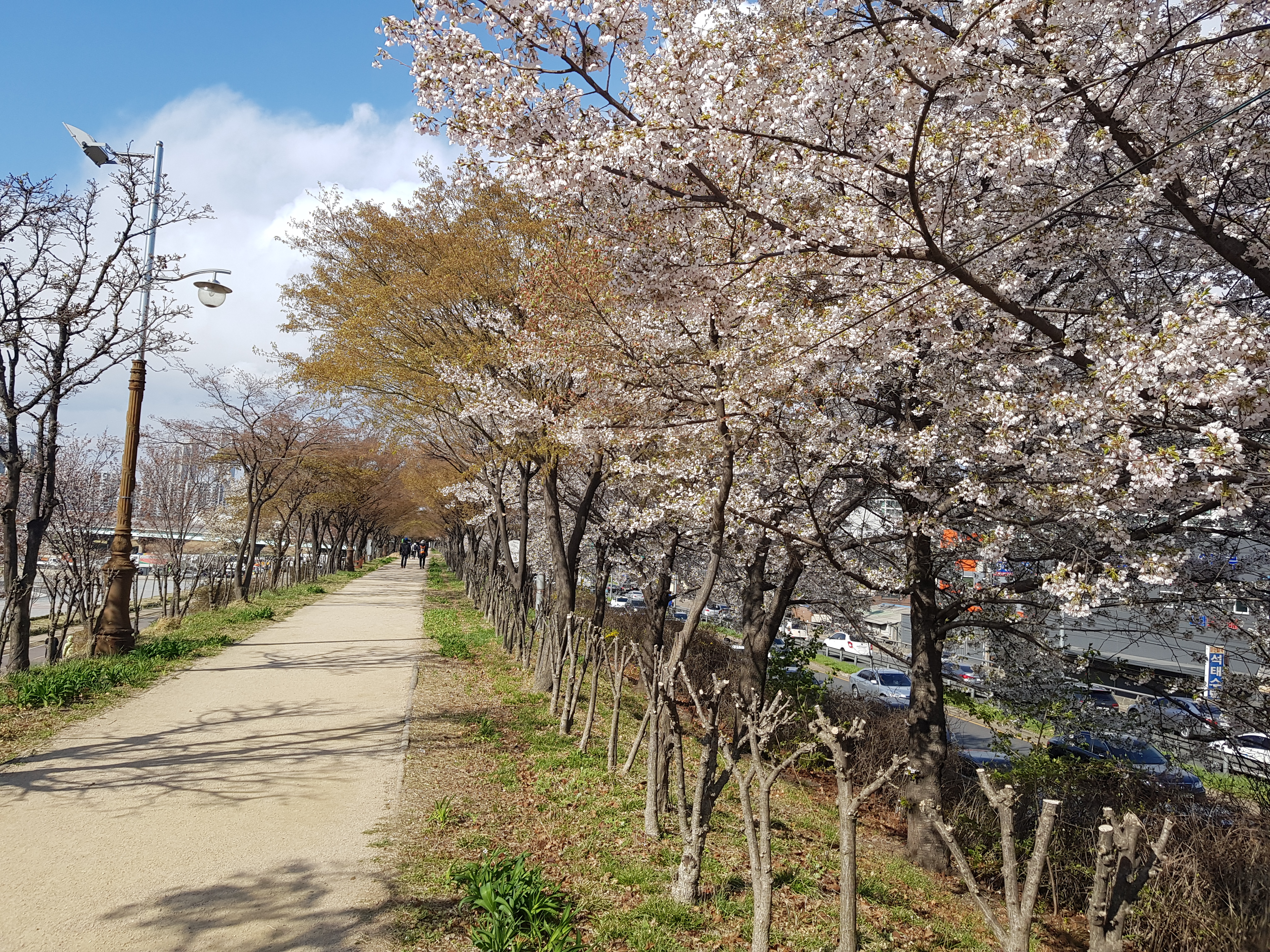 Anyangcheon Stream