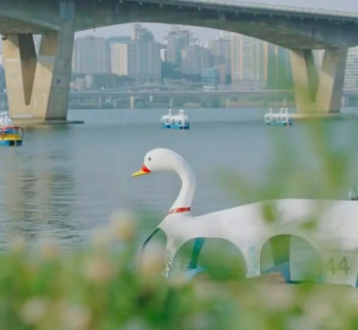백조 패들 보트