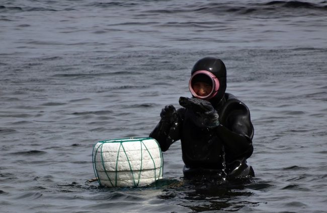 Jeju Haenyeo 3 copyright