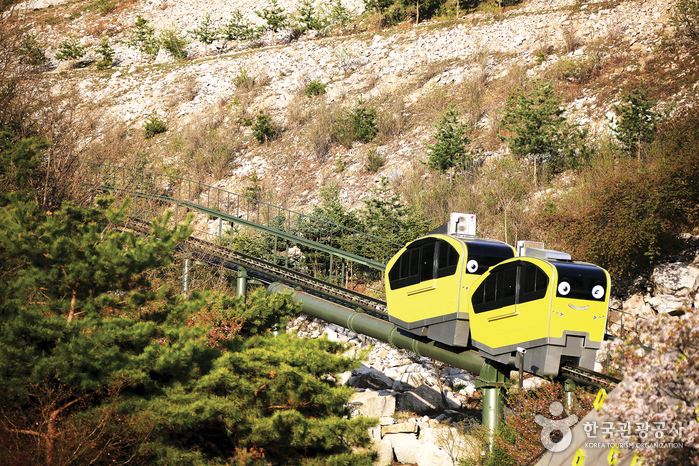 Art Valley - Cable Car