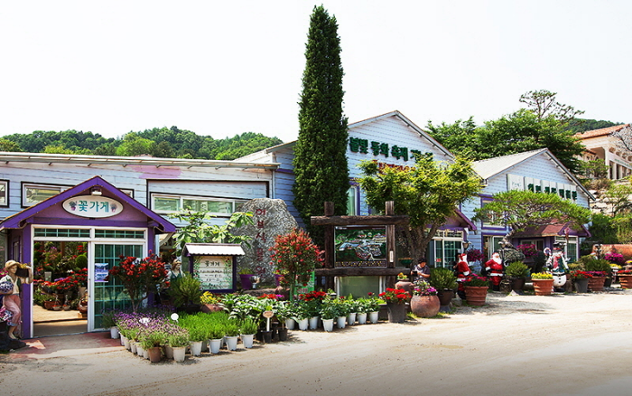 Pocheon - Herb island