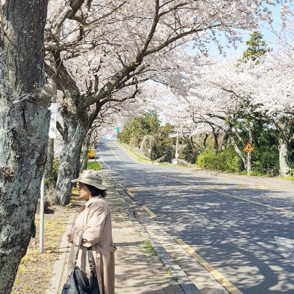 04/03-04 Jeju Spring Tour from India Couple