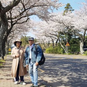 04/03-04 Jeju Spring Tour from India Couple