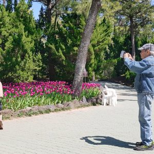 04/03-04 Jeju Spring Tour from India Couple