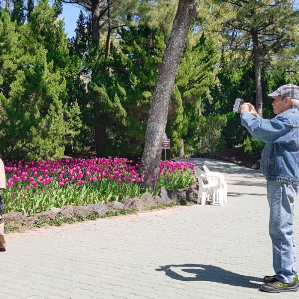 04/03-04 Jeju Spring Tour from India Couple