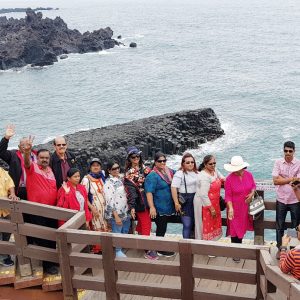 04/02-09 Korea Indian Group Tour