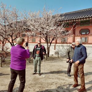 04/02-12 Korea Private Tour from United Kingdom