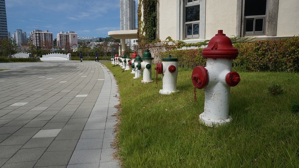 Busan Citizens Park