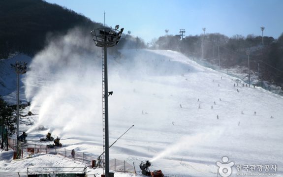 Jisan Forest Resort