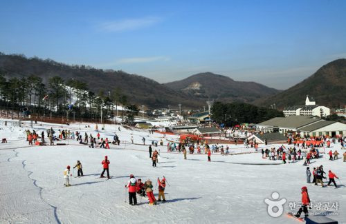 Jisan Forest Resort