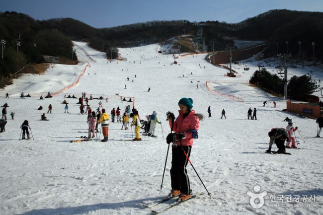Korea Yangji Pine Resort Korea Yangji Pine Resort