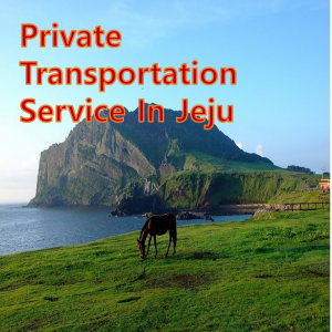 PRIVATE BUS SERVICE IN JEJU ISLAND