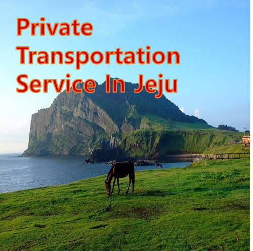 PRIVATE BUS SERVICE IN JEJU ISLAND