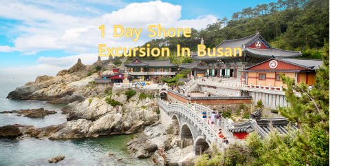 Busan Shore