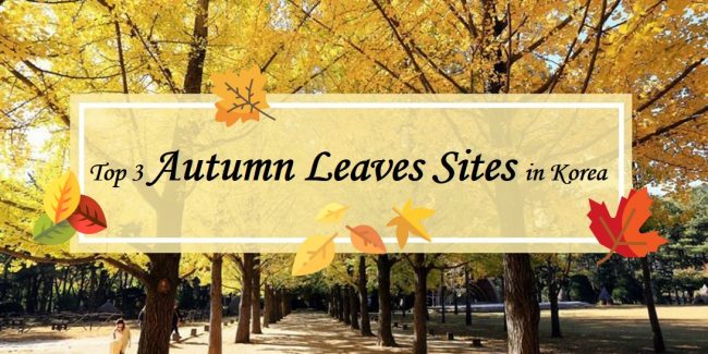Autumn Leaves sites in Korea