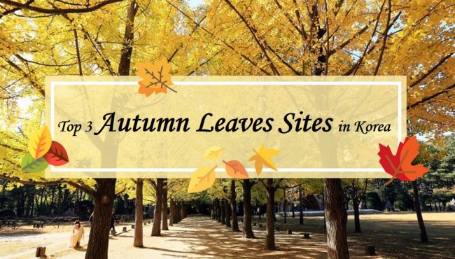 Autumn Leaves sites in Korea Autumn Leaves sites in Korea