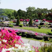 The Botanical Garden BCJ (Byeokchoji)