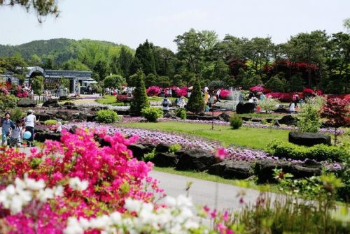 The Botanical Garden BCJ (Byeokchoji)