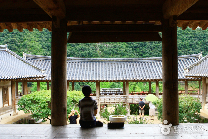 Андонг Хахве