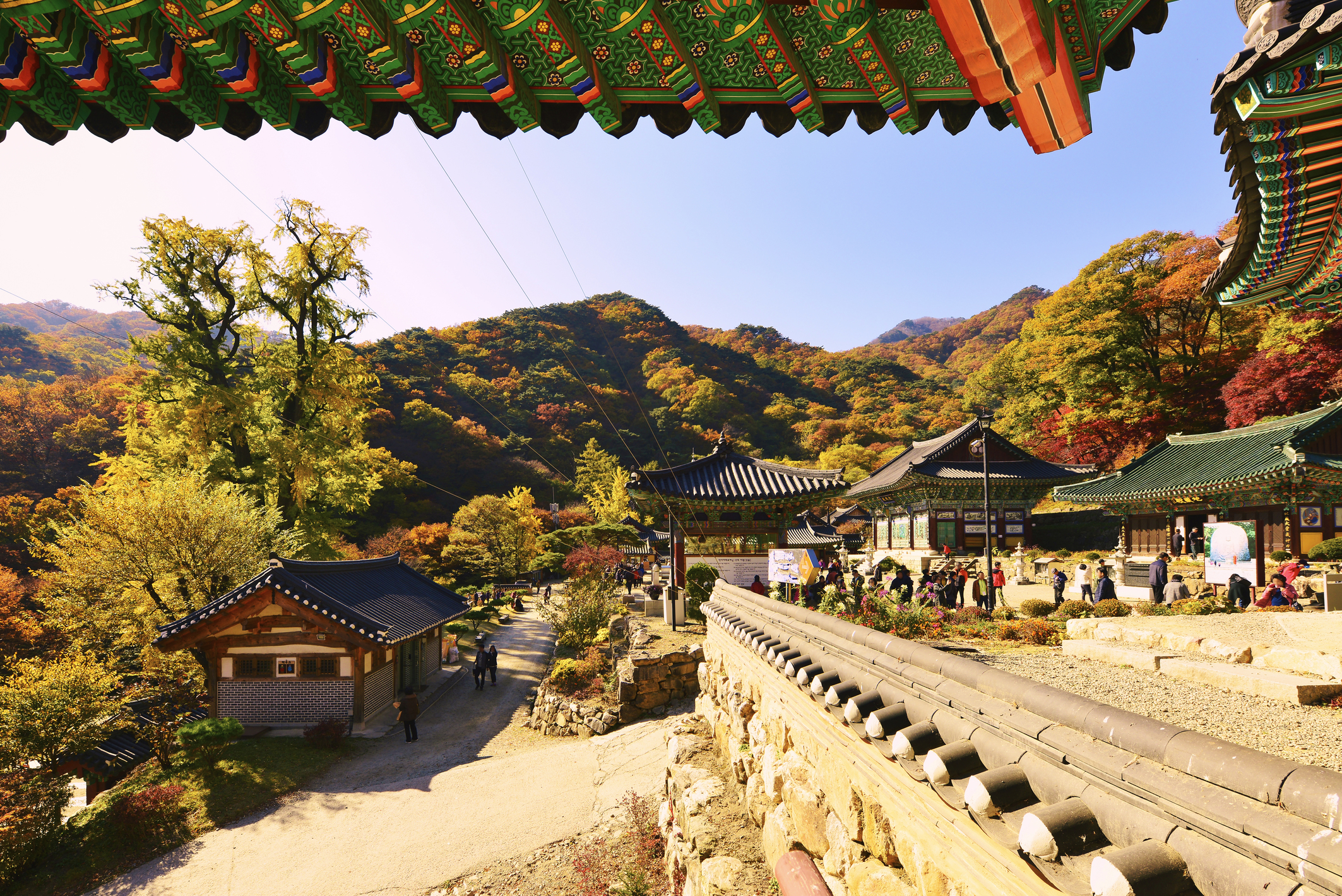 용문사
