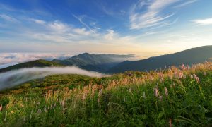 Национальный парк Джирисан