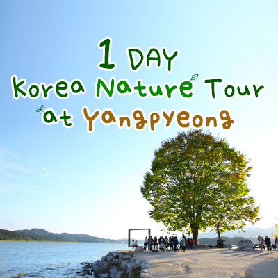 1 DAY Korea Nature Tour at Yangpyeong