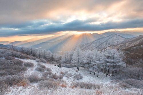 Jirisan National Park