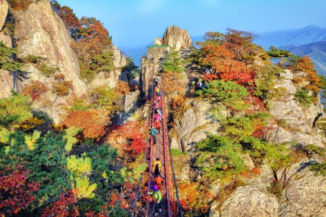 Daedunsan-Mountain_Fall-foliage_autumn