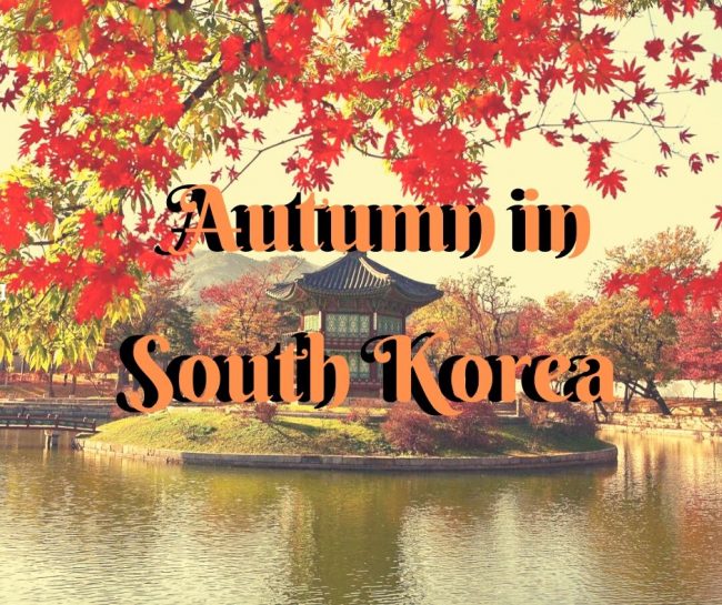 autumn