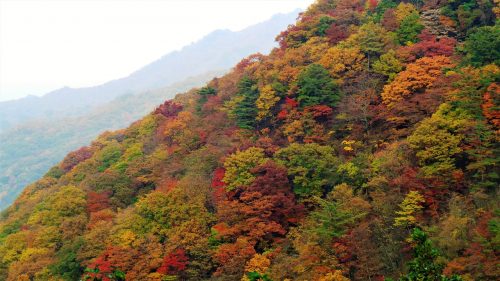 Jirisan National Park