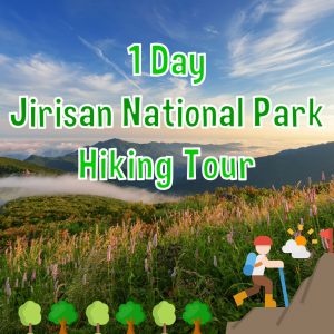 1 Day Jirisan National Park Hiking Tour