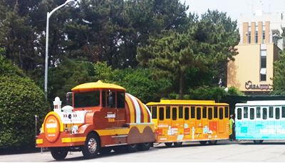 Дунайский поезд